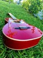 /album/fotogaleria-ukuleles-monterrey-fundas/guita-electro-roja-jpg/